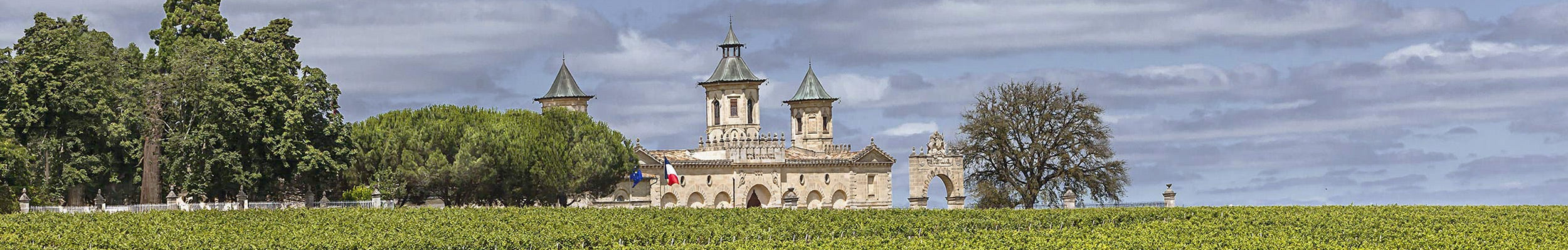 Pagodes de Cos 2016 - Saint-Estèphe Red Wine - Bordeaux Cos D